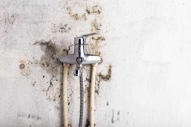Best Commercial Mold Remediation in Beckett Ridge, OH