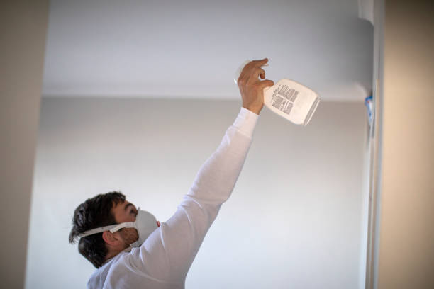 Best Insurance-Related Mold Remediation in Beckett Ridge, OH