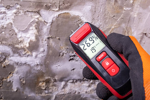Best Basement Mold Remediation in Beckett Ridge, OH