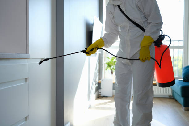 Best Health and Safety Mold Remediation in Beckett Ridge, OH