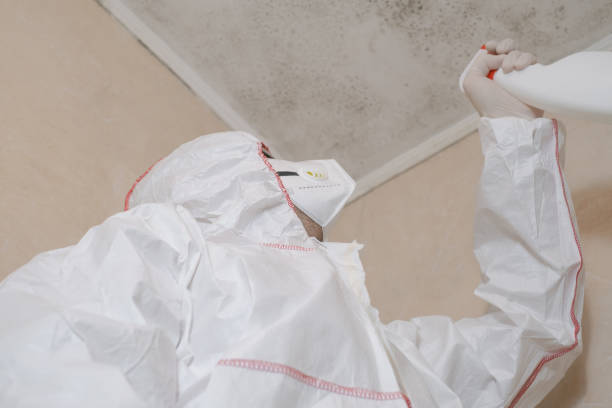 Best Post-Flood Mold Remediation in Beckett Ridge, OH